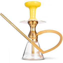 Chicha Tsar Nitro NX Or